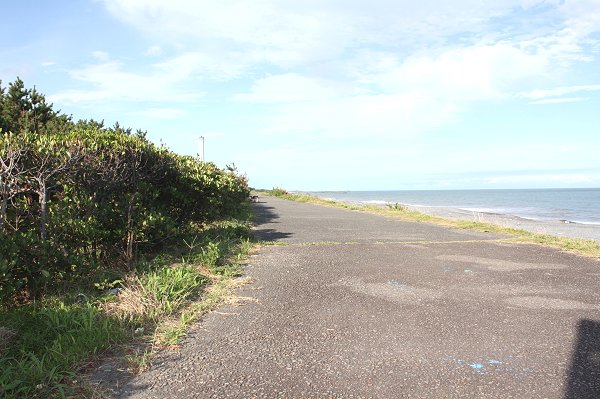 太平洋岸自転車道